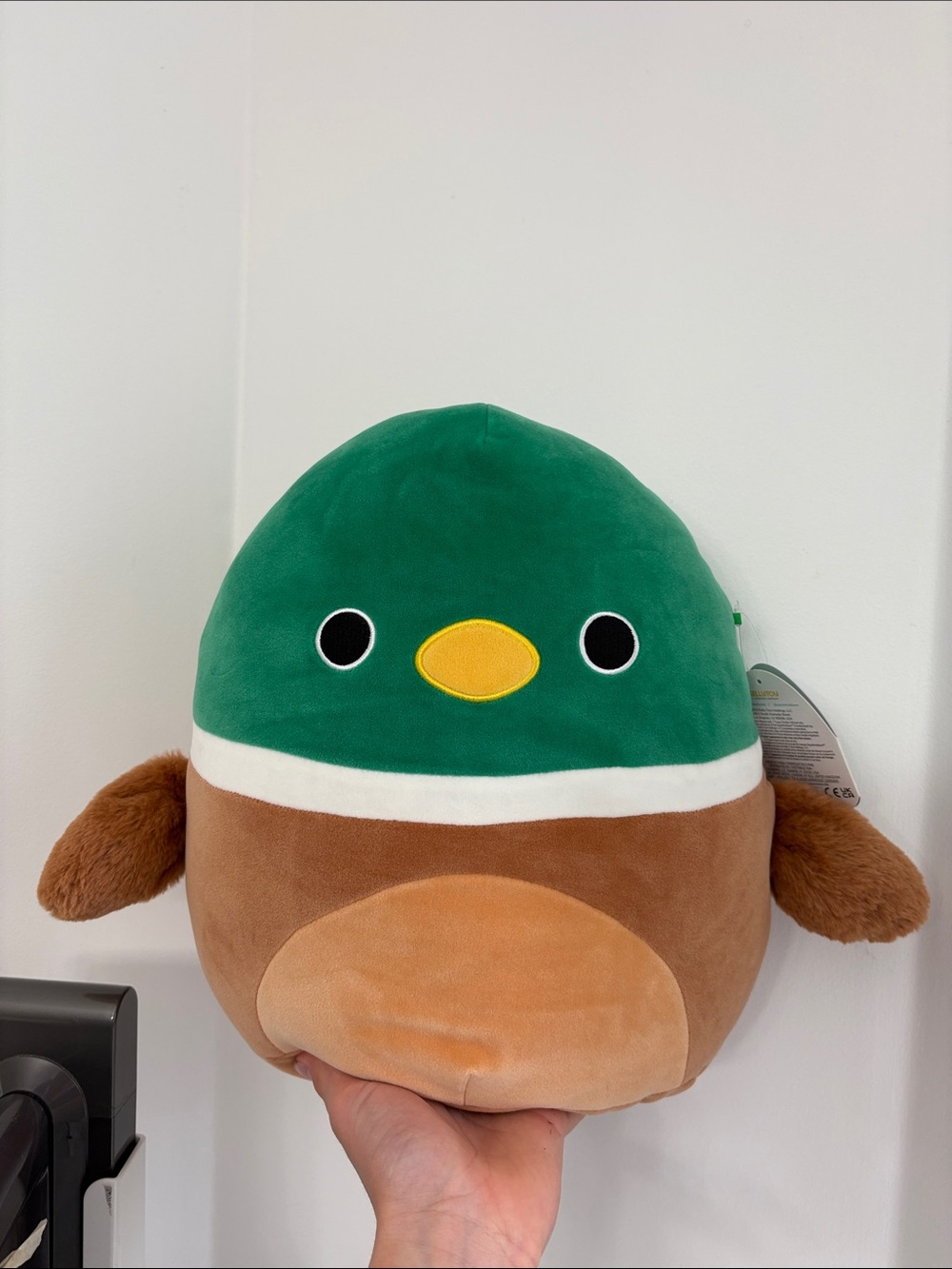 Squishmallows Avery The Mallard Duck 12” NWT